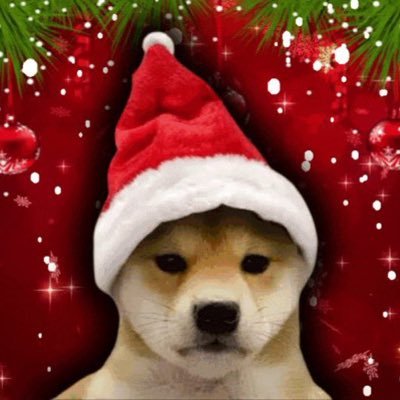 wifmasnews's profile picture. Official $wifmas on https://t.co/ea8RE2kU29 3Yh5ZmJ8nLfpX3QBbDUdV8UAFhwGCDwJ52AmtFZVpuтp
