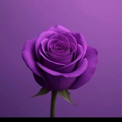 NobuhleChadala's profile picture. Mother - God's Master piece-Roman8;31. Mamvelase- Mthembukazi. @KaizerChiefs and @Chelsea Supporter -Striving Ultra marathon Runner  💙