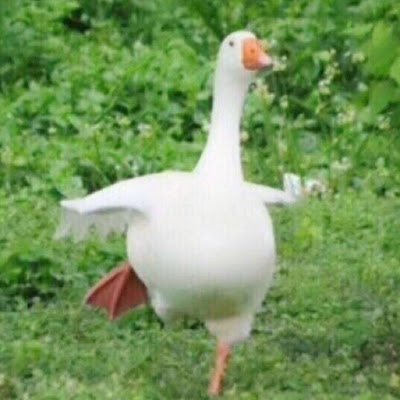 MuYou788788's profile picture. 