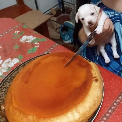 blackbxtlr's profile picture. 996