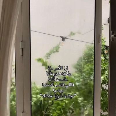 alreem19023's profile picture. ورقيقةٌ في الخوفِ.. عشرينيةٌ
كبُرتْ سريعًا كي يناسِبَها الشقاء

- محمد الخفاجيّ