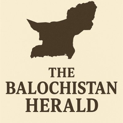 rashoo053522639's profile picture. 