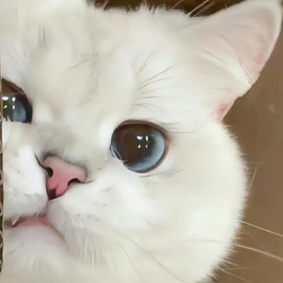 ZEE_Ziii89's profile picture. ⋆💙⋆