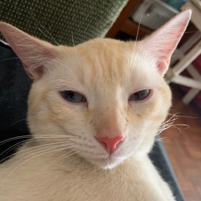 rbiachelanni's profile picture. Todo lo que quiero ser ya lo soy. @distritoerror