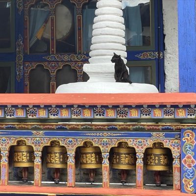 m3ghaarora's profile picture. 