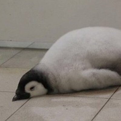 Elonverrygood's profile picture. 27/귀칼,괴출 구독계