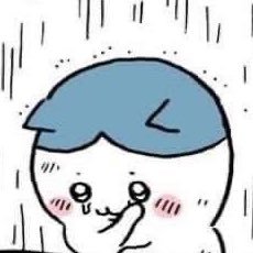 IQ100000_hund's profile picture. すほぴょーん🐰❤︎