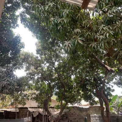 MCamara127's profile picture. keep doing your best everyday and if no one is proud of you be proud of yourself🫡❤️🇬🇲✌🏿✌🏿