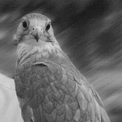 Nali939101's profile picture. اللهم ارحم من اخذتهم إليك واسعدهم خيراً من سعادة الدنيا