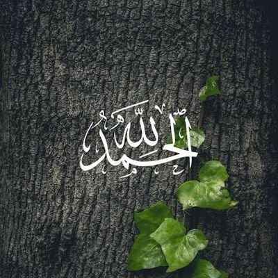 Saud_Faisal5's profile picture. مدرب دولي ومستشار اسري وتربوي حاصل علي دكتواره في الصحة النفسية من جامعة الملك عبدالعزيز
تعليم عالي ا
    دكتوارة صحة نفسية – جامعة الملك سعود