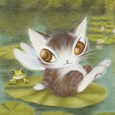 zzu264's profile picture. 