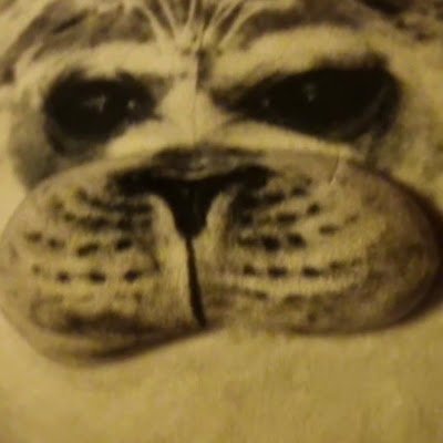 tacooo__'s profile picture. 