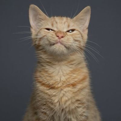 parkhinsong_'s profile picture. متاهل و مامان 💥
از محتوای فاخر خبری نیست.