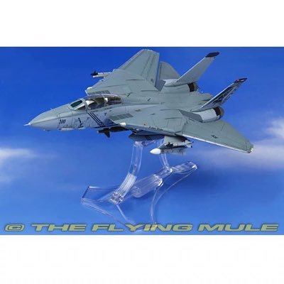 Alicewonde12's profile picture. 