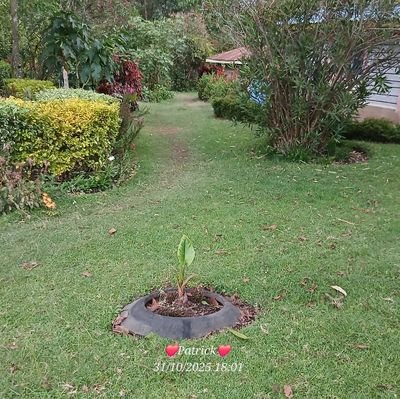 PatrickKip18568's profile picture. 