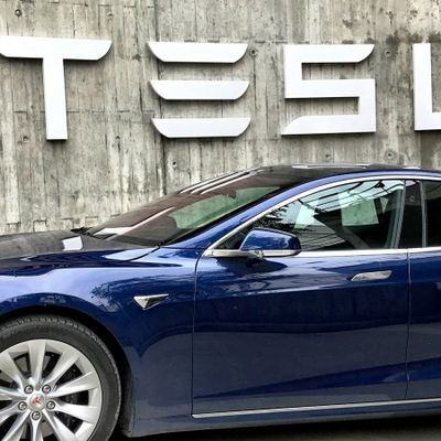 KungKelvin66556's profile picture. 