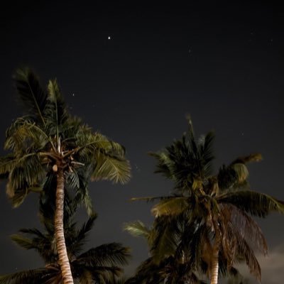 Mufayrij's profile picture. 