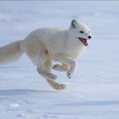 nir0va2na1w8e's profile picture. 팔로하지마세요