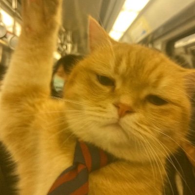 areyyswaraa's profile picture. 