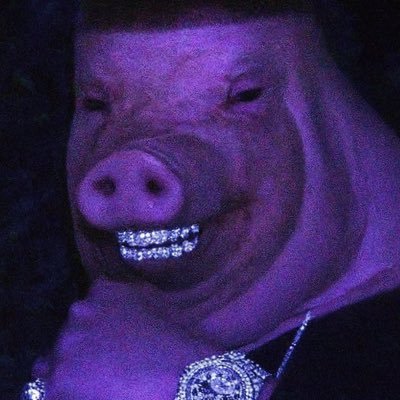 N1Brigadier's profile picture. Its them. I hate heathens. I hate pagans.