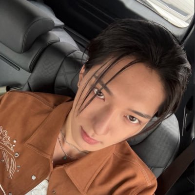 solacedane's profile picture. #shc 🦕🦊🐉🦙