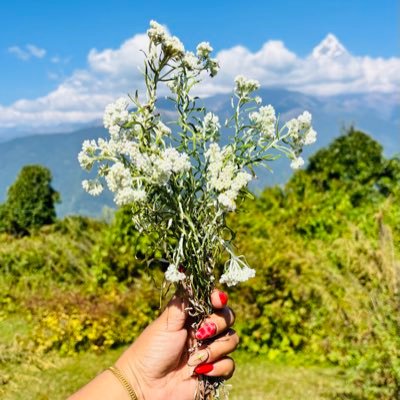 AshInNavy's profile picture. अल्छी🥱😮‍💨