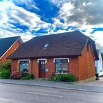 halileyiler1108's profile picture. 🎥 Fotoğrafçı 🛠️