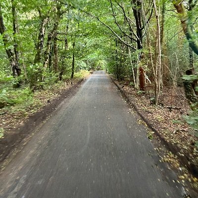 Drew_W5's profile picture. Bass Guitarist & sound engineer.  on here as Politically irritated Biker. Brit-ish, anti racism & anti fascism @dreww12.bsky.social