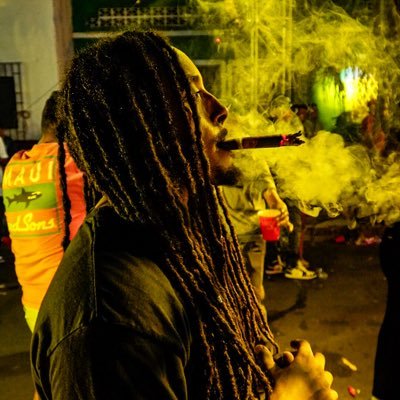 BrukeFasil's profile picture. Director. Consultant. Crypto.