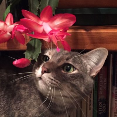 1tt5l's profile picture. لاني أشوا ولاني مسفهلّي