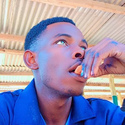 datadrive001's profile picture. 