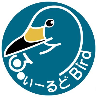 bird11596087's profile picture. 琵琶湖のほとり湖西から湖北にかけて野鳥の写真を撮りに行ったり来たりしてます。ツバメを助けた恩返しにトンボをもらってから野鳥にどハマりとなりました