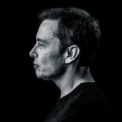 elonspace891's profile picture. 