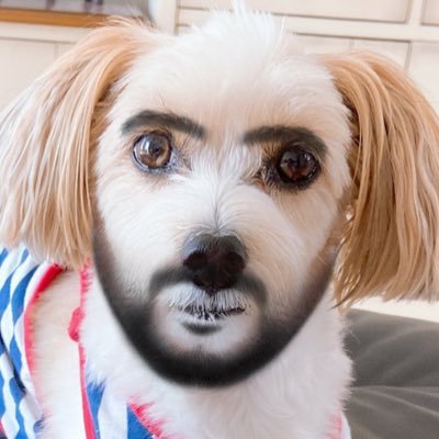 catnapzzZ_'s profile picture. 난나일뿐이야누구도나를대신할순없어 피할수없는운명의시간모든걸보여줄거야 이기고지는건중요치않아 처음부터우린트친이었으니까