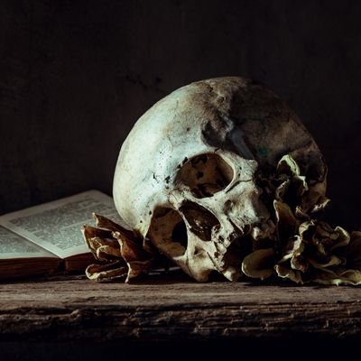 eli_machado91's profile picture. 🇧🇷🇷🇺🇮🇳🇨🇳🇿🇦➕️❤️
Anti-liberal, Russófila 🇷🇺, Socialista
-a weird0-
*Na vida, eu sou o Fausto (de Goethe) e você também o é*