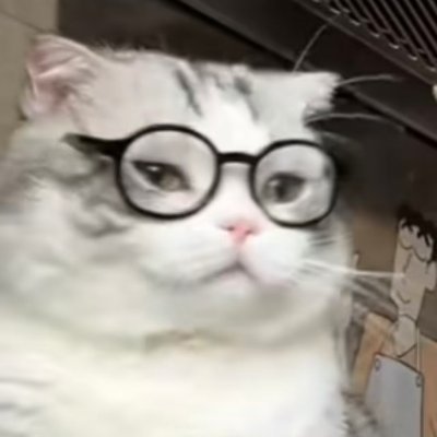 Plumage_meow's profile picture. 