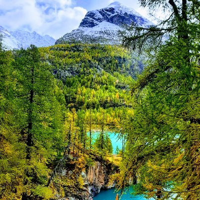 walk_this_way88's profile picture. Perma BULL $BTC
Self-custody is the revolution
No pain, no gain