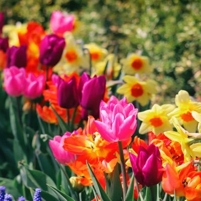 LesleyKulas's profile picture. Happy 🌹