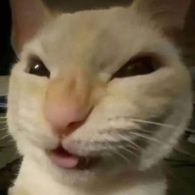 hibaowesii's profile picture. cinema, @fcbarcelona & ...