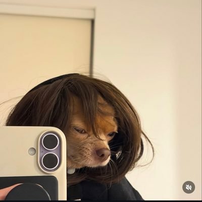 xylarsdiary's profile picture. 