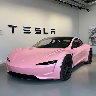 paultruxatesla's profile picture. Elon musk Grants manager.