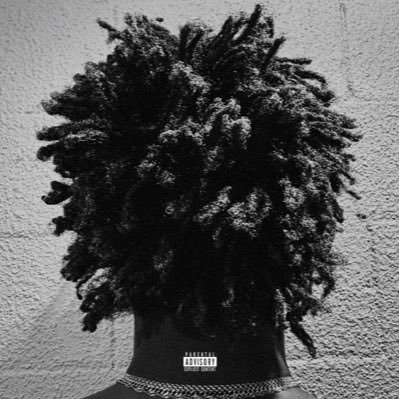 THEPDSTRN's profile picture. /pəˈdɛstriən/ ABiNiBi Steeze. El Capitan.