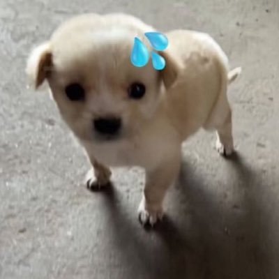 kdovcw's profile picture. 