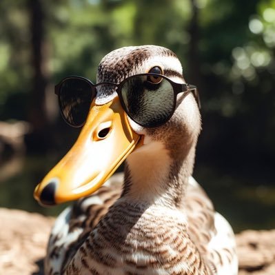 MalIards's profile picture. quit