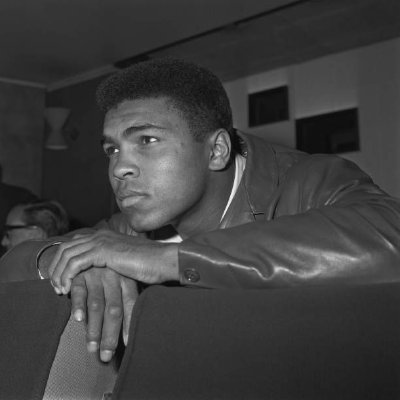 tskhovrebuli's profile picture. instinct driven.