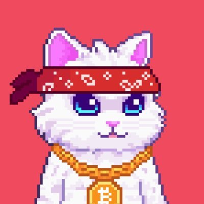 fractured_data's profile picture. 🔸  @Stacks Legion 🔸 NFA 🔸 FT Data Analyst 🔸 financial markets are a zero sum game, don’t get rekt