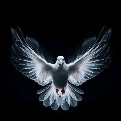 SnbLucky21075's profile picture. 