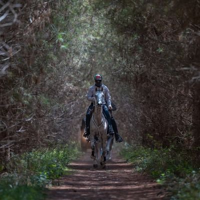 Binmak7's profile picture. 🐎 horse lover ,