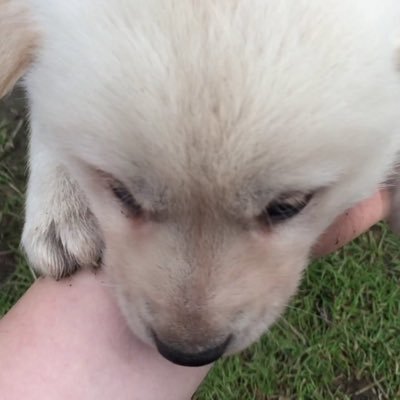 Oz_eiz51's profile picture. 