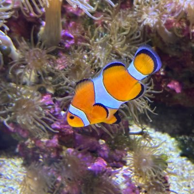 ha_mi0501's profile picture. 